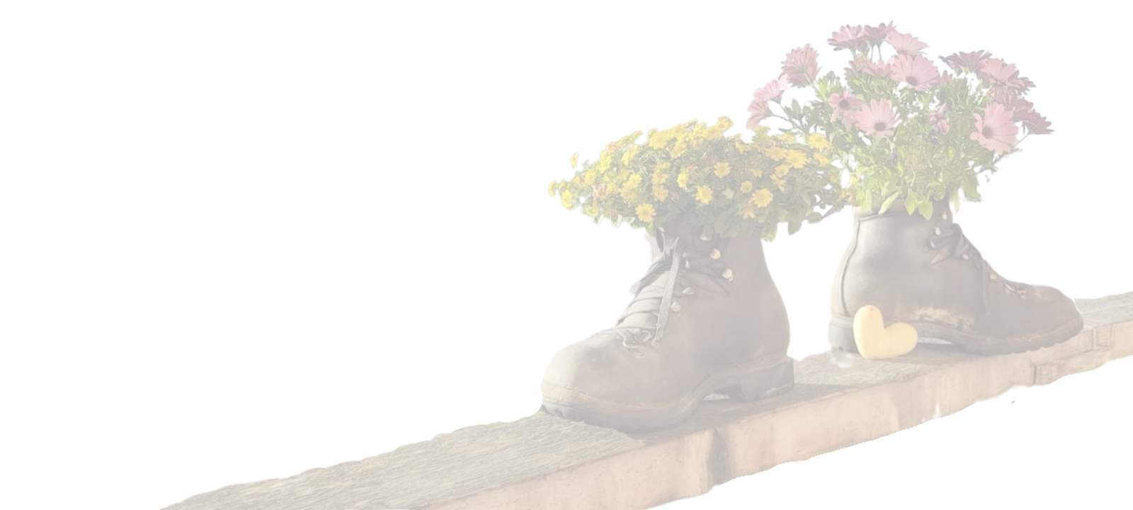 Buetschi Alte Schuhe Bluemen